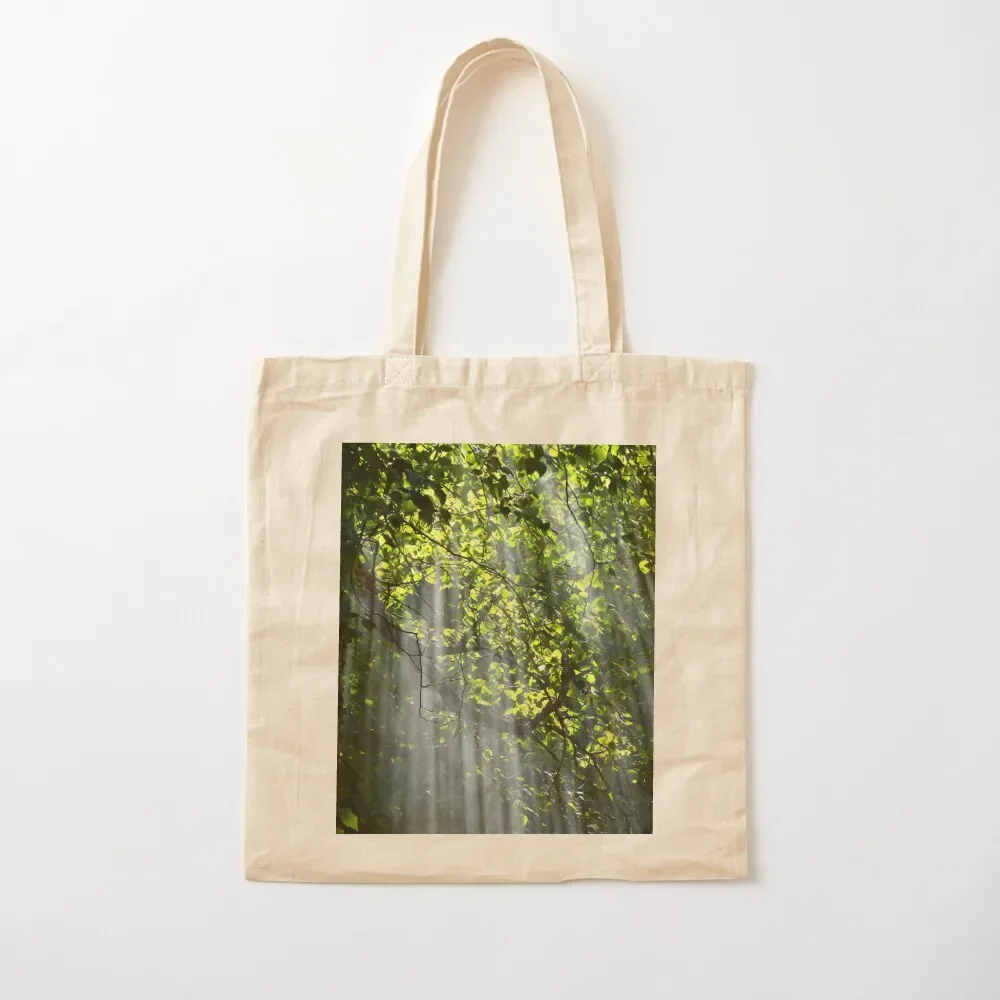 Branches Illuminated by Light Beautiful Forest Tote Bag hand bags tote bag woman shopping bag logo bags luxury women
Branches Illuminated by Light Beautiful Forest Tote Bag hand bags tote bag woman shopping bag logo bags luxury women