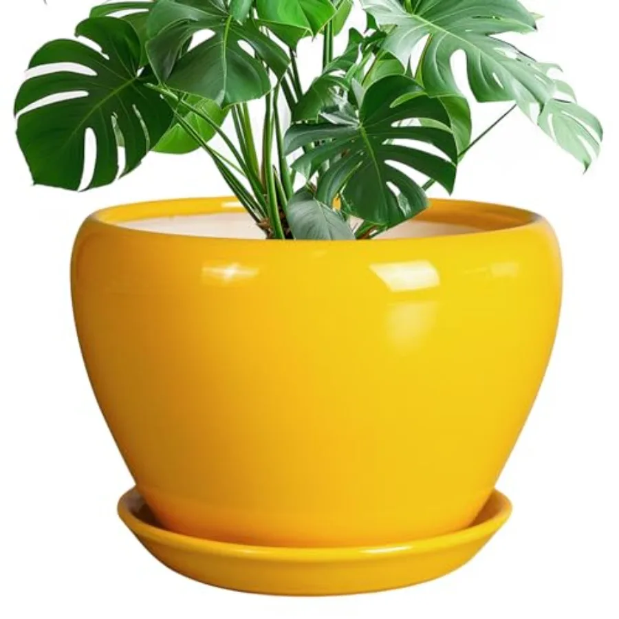 Ceramic Planter - 10 Inch Indoor Outdoor Plant Pot, Yellow Glazed Modern Round Planter with Drainage Hole and Saucer for Garden
Ceramic Planter - 10 Inch Indoor Outdoor Plant Pot, Yellow Glazed Modern Round Planter with Drainage Hole and Saucer for Garden
