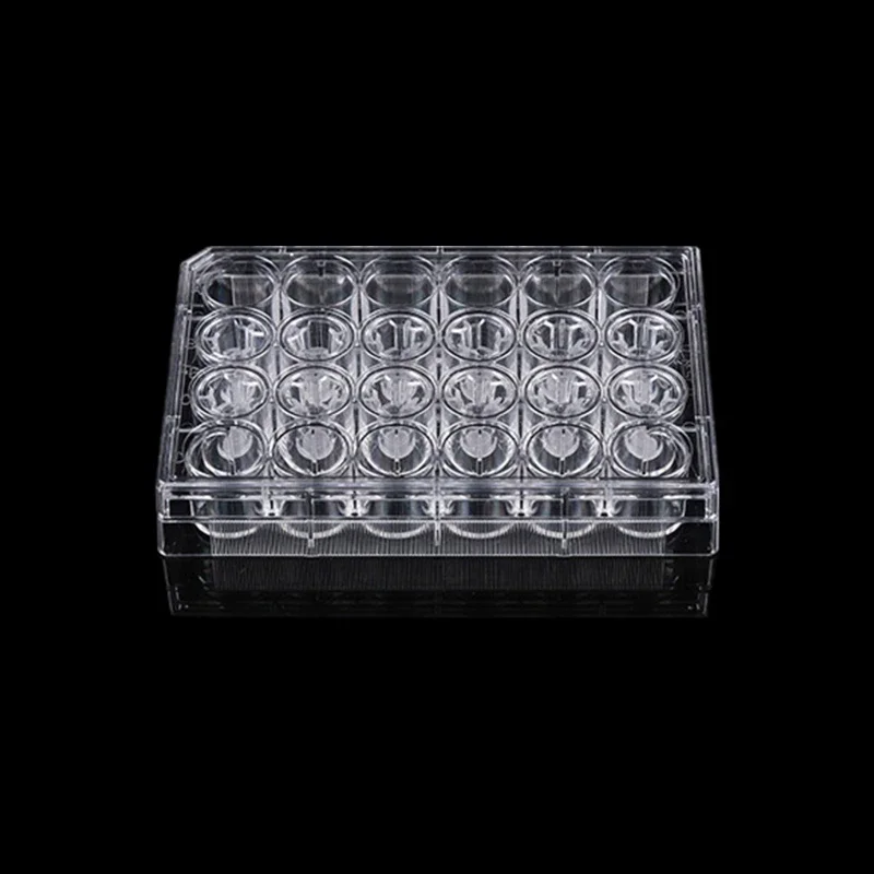 Cell Compartment Transwell Nested PET Polyester Film PC Polycarbonate Film 24 6 Well
Cell Compartment Transwell Nested PET Polyester Film PC Polycarbonate Film 24 6 Well