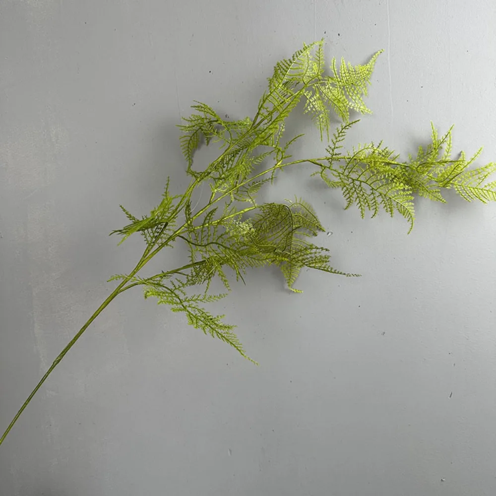 Large Artificial Fern Plant Branches Realistic Real Touch Boston Fern Leaves Handmade Elegant Fake Plants
Large Artificial Fern Plant Branches Realistic Real Touch Boston Fern Leaves Handmade Elegant Fake Plants