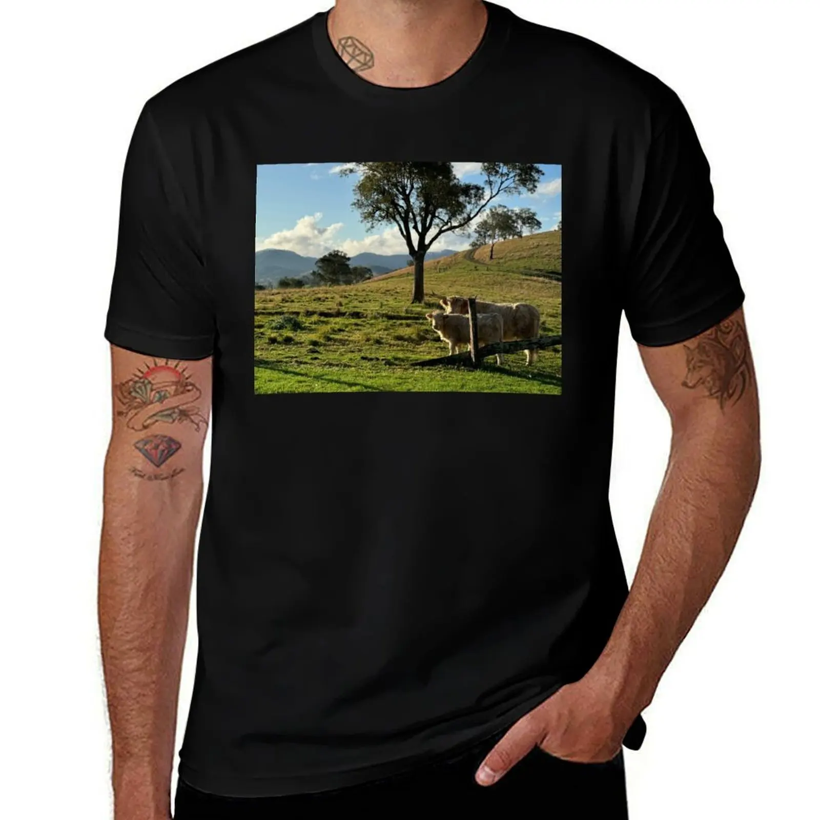Baby and Parent Highland Cows with landscape view T-Shirt luxury t-shirt blanks street wear workout shirts for men
Baby and Parent Highland Cows with landscape view T-Shirt luxury t-shirt blanks street wear workout shirts for men