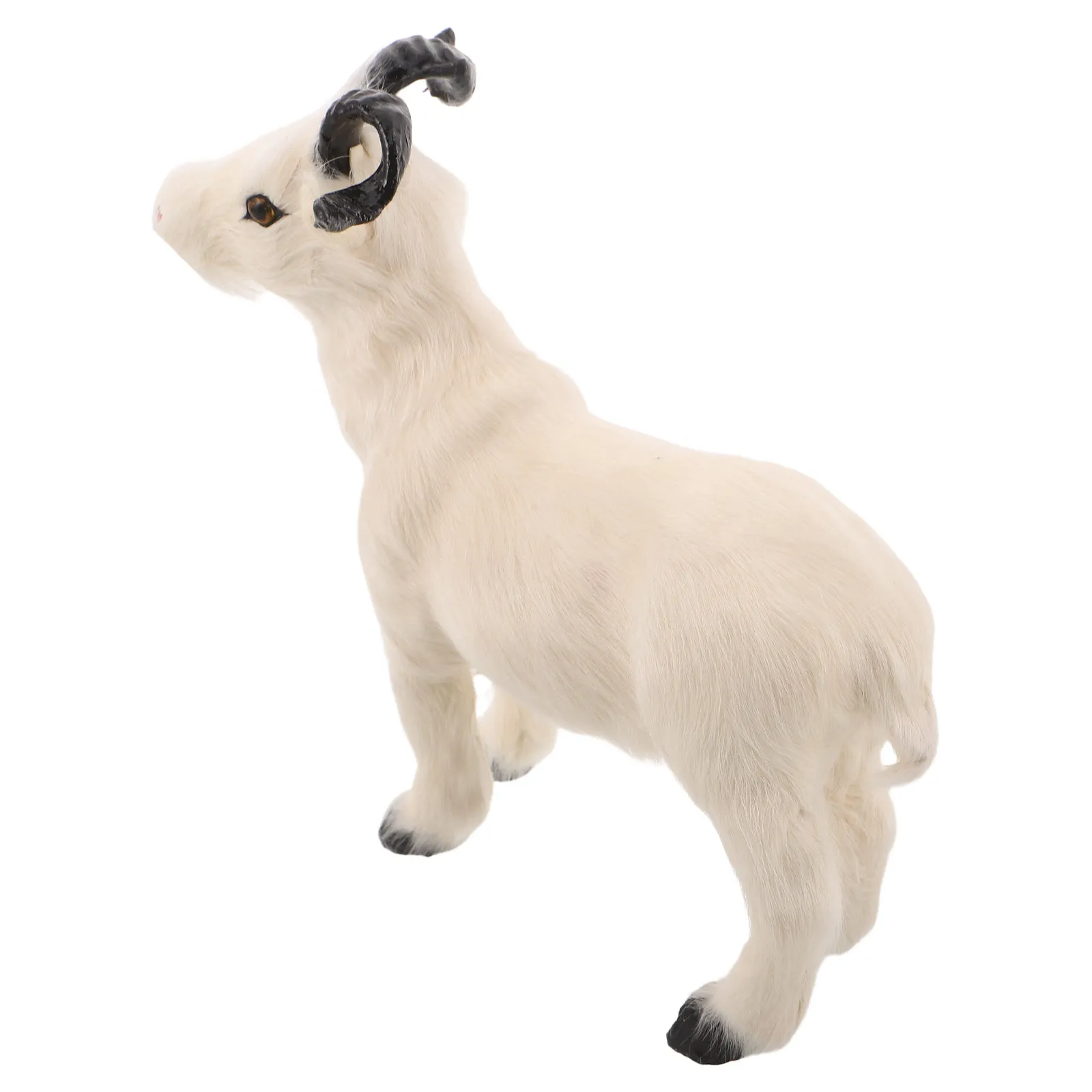 6.7 Inch Realistic Goat Statue for Home Farmhouse Decor Garden Yard Desk Art Display Animal Ornament Mini Goat
6.7 Inch Realistic Goat Statue for Home Farmhouse Decor Garden Yard Desk Art Display Animal Ornament Mini Goat