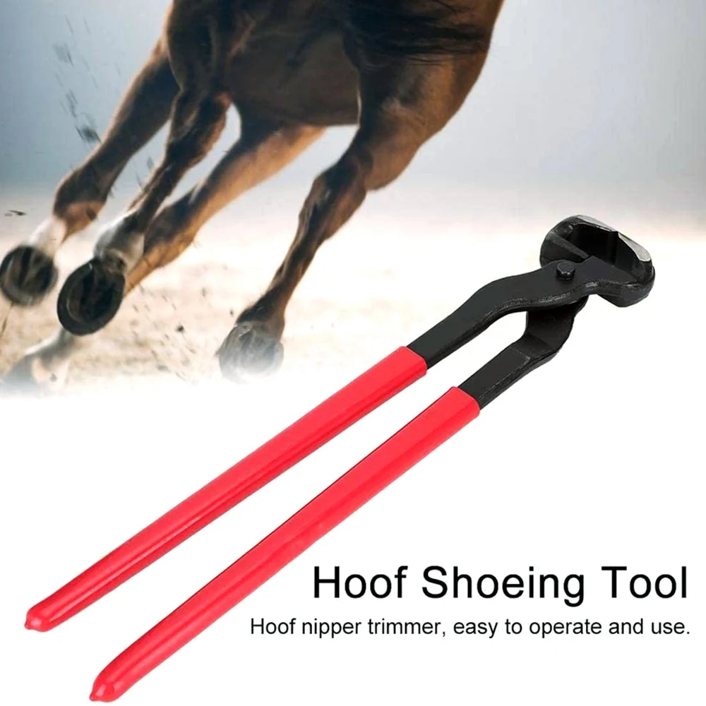 TURE 16 Inches Farrier Horse Hoof Nipper Trimmer Cutter Horse Nail Pliers Clippers Equestrian Supplies Horse Farrier Tool
TURE 16 Inches Farrier Horse Hoof Nipper Trimmer Cutter Horse Nail Pliers Clippers Equestrian Supplies Horse Farrier Tool