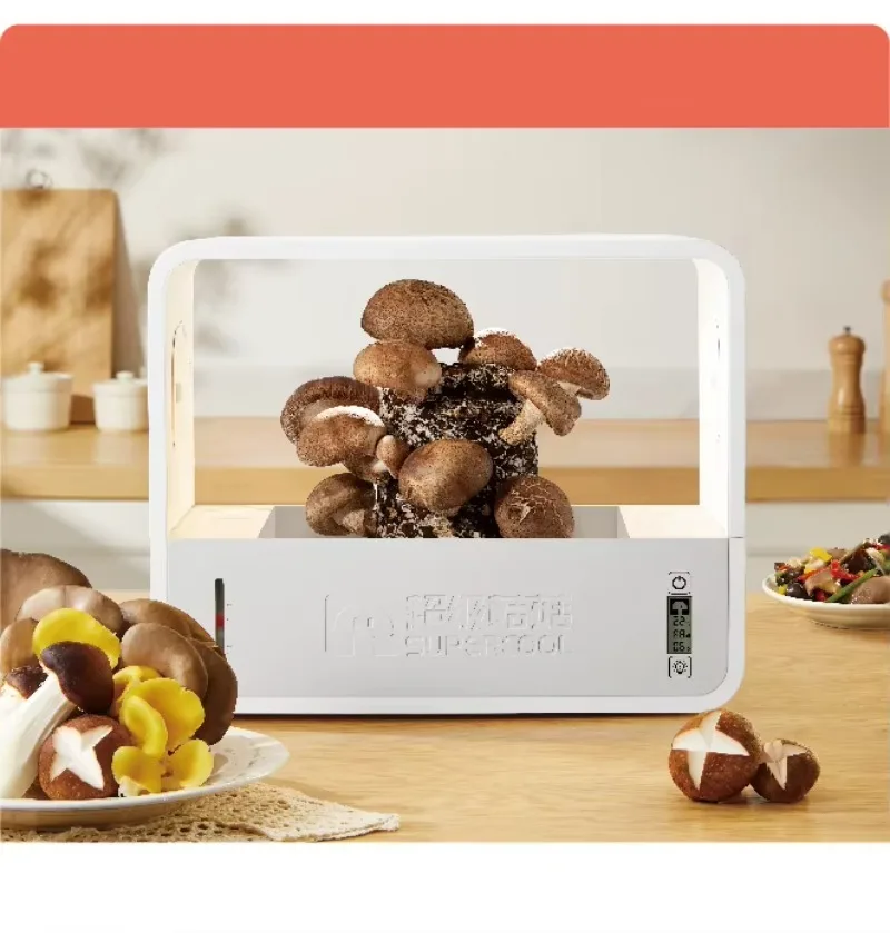 SENSH Buff Mushroom Smart Table Garden System Planter ABS Material Irrigation Hydroponics Easy Growing White/Gray Stylish
SENSH Buff Mushroom Smart Table Garden System Planter ABS Material Irrigation Hydroponics Easy Growing White/Gray Stylish