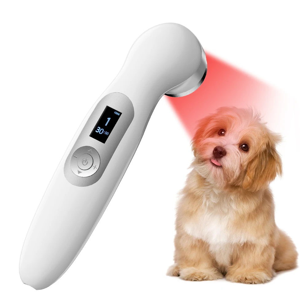High Power 808nm Animals Laser Physiotherapy Equipment for Dogs Cats Horses Pain Relief
High Power 808nm Animals Laser Physiotherapy Equipment for Dogs Cats Horses Pain Relief