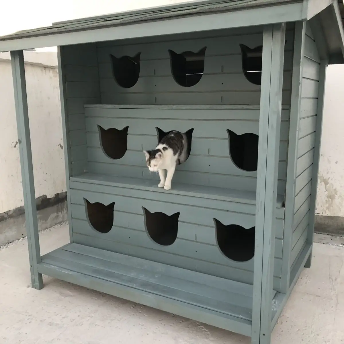 Outdoor cat house, outdoor rainproof and waterproof solid wood villa house, universal in all seasons, large stray cat nest, esca
Outdoor cat house, outdoor rainproof and waterproof solid wood villa house, universal in all seasons, large stray cat nest, esca