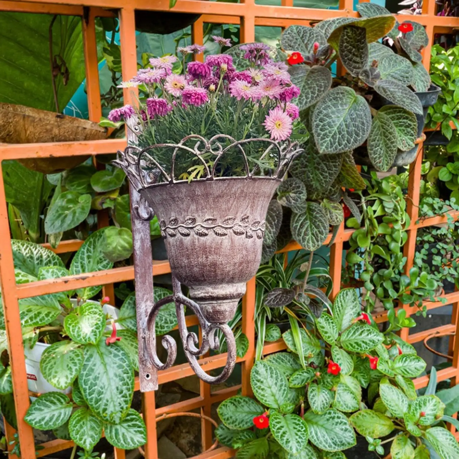 Decorative Iron Flower Pot Planter Wall Mounted Basket Elegant Garden Flowerpot for Outdoor Garden Decoration
Decorative Iron Flower Pot Planter Wall Mounted Basket Elegant Garden Flowerpot for Outdoor Garden Decoration