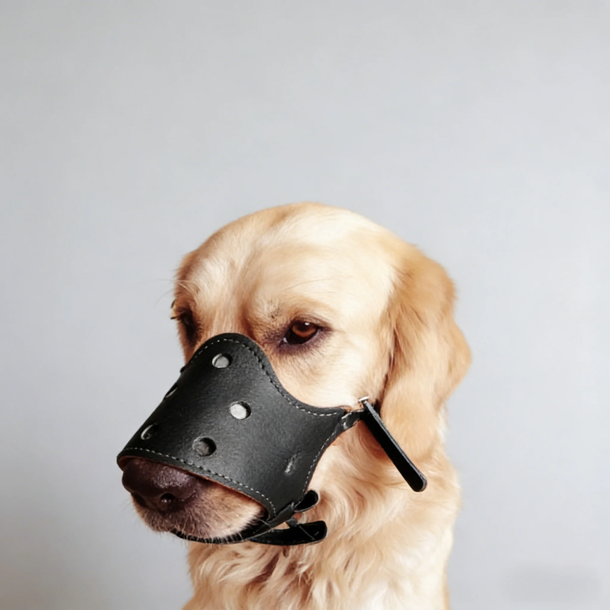 Anti Barking Dog Muzzle Adjustable Breathable Soft Pu Leather Pet Mouth Muzzle Dog Anti-biting for Small Large Dog Pet Supplies
Anti Barking Dog Muzzle Adjustable Breathable Soft Pu Leather Pet Mouth Muzzle Dog Anti-biting for Small Large Dog Pet Supplies