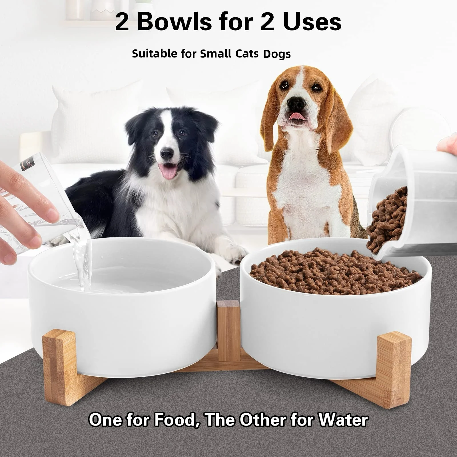 Ceramic Cat Bowl Dog Bowls Cats Food and Water Bowls Set Pet Bowl with Wood Stand For Cats Puppy Food Water Feeding Pet Supplies
Ceramic Cat Bowl Dog Bowls Cats Food and Water Bowls Set Pet Bowl with Wood Stand For Cats Puppy Food Water Feeding Pet Supplies