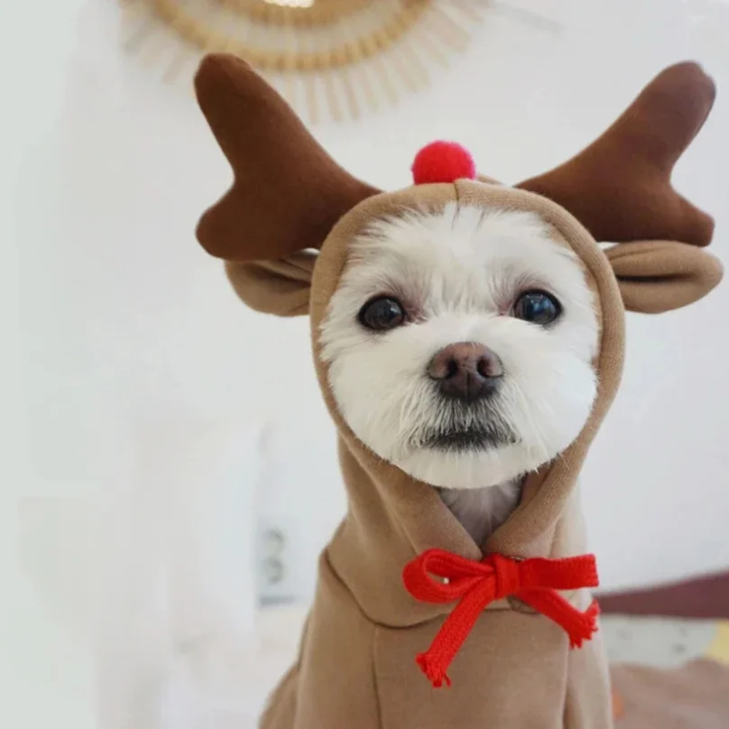 Cute Elk Dog Clothes Reindeer S-XL Dogs Hoodies Warming Pet Clothing Puppy Cat Costume Coat Chihuahua Mouse Cheese Jacket Suit
Cute Elk Dog Clothes Reindeer S-XL Dogs Hoodies Warming Pet Clothing Puppy Cat Costume Coat Chihuahua Mouse Cheese Jacket Suit