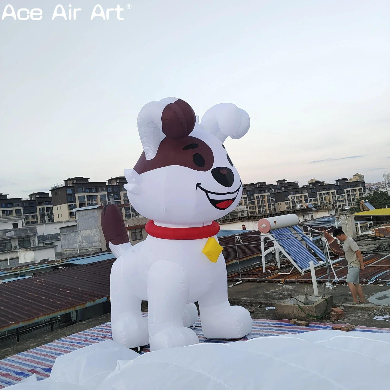Inflatable Cartoon Dog Model for Yard Decoration, 3.3mH, Cute Advertising Props, Pet Shop Decoration, Inflatable Husky
Inflatable Cartoon Dog Model for Yard Decoration, 3.3mH, Cute Advertising Props, Pet Shop Decoration, Inflatable Husky
