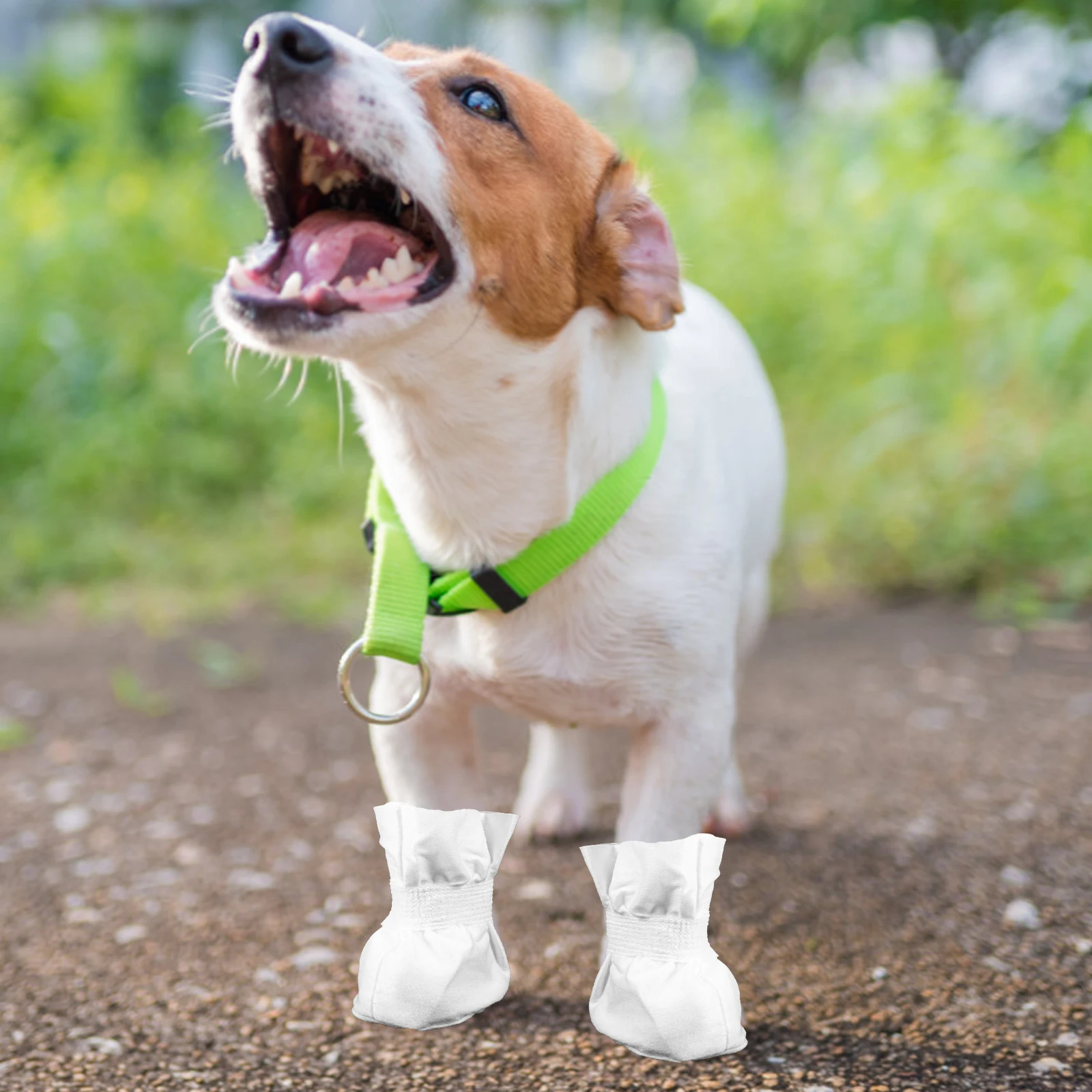 4 Pcs Pet Foot Cover Dog Disposable Boots Non Slip Snow Shoes Cat Booties Small Dog Shoes Protect Paws Dirt Debris Outdoor Use
4 Pcs Pet Foot Cover Dog Disposable Boots Non Slip Snow Shoes Cat Booties Small Dog Shoes Protect Paws Dirt Debris Outdoor Use