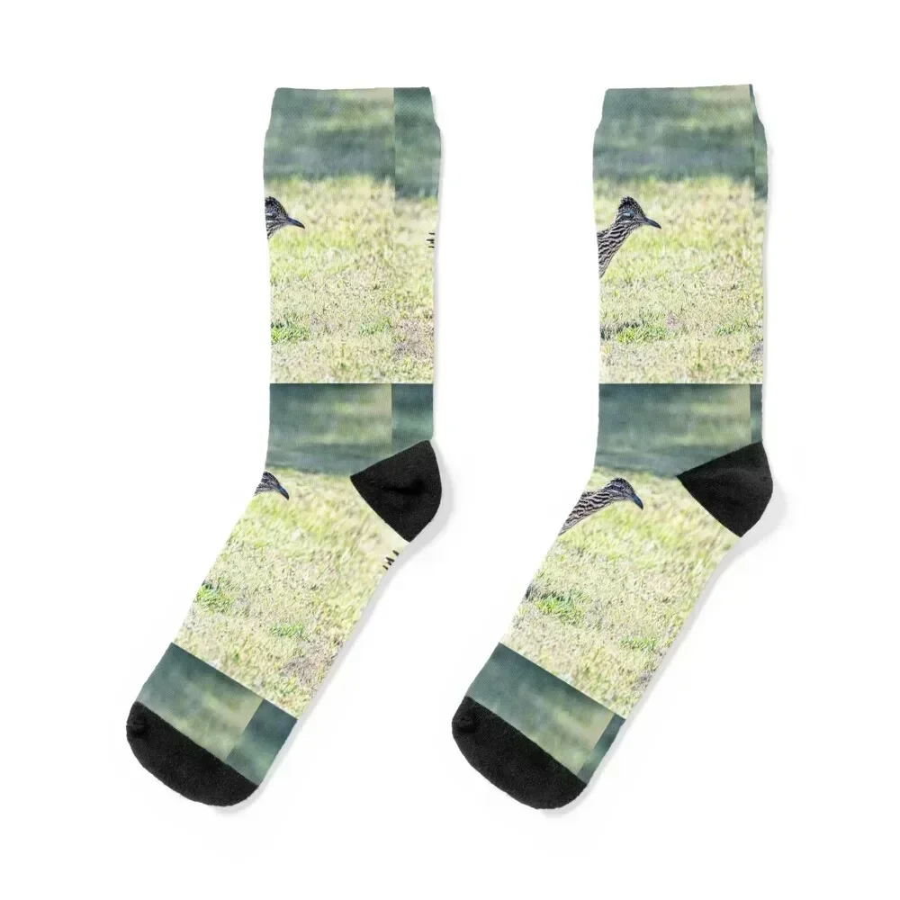 Greater Roadrunner Ready to Pounce Socks Novelties hiking crazy colored Socks Male Women's
Greater Roadrunner Ready to Pounce Socks Novelties hiking crazy colored Socks Male Women's