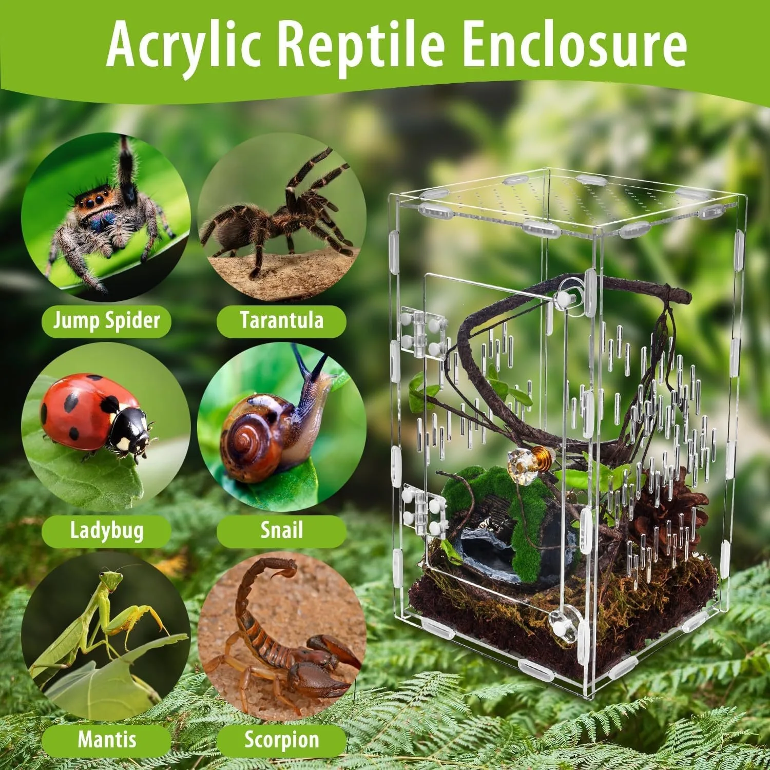 Reptile Terrarium Acrylic Ventilated Cage Portable Habitat for Tarantula Snake Lizard Hermit Crab Insect Small Reptile Pets
Reptile Terrarium Acrylic Ventilated Cage Portable Habitat for Tarantula Snake Lizard Hermit Crab Insect Small Reptile Pets