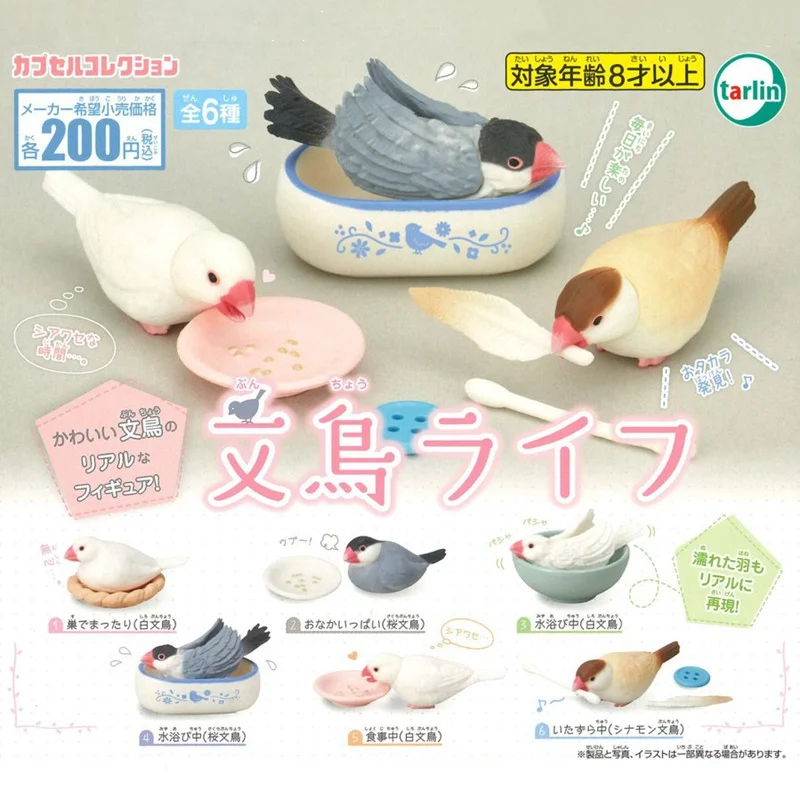 TARLIN Kawaii Cute Original Japan Gashapon Figure Anime Bird's Daily Routine Sparrow Miniature Items Figurine Capsule Toy
TARLIN Kawaii Cute Original Japan Gashapon Figure Anime Bird's Daily Routine Sparrow Miniature Items Figurine Capsule Toy
