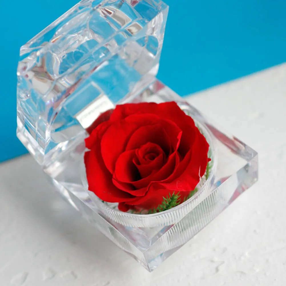Premium Acrylic Preserved Flower Ring Display Box Creative Romantic Gift for Anniversary Birthday Mother's Day Wedding Photo
Premium Acrylic Preserved Flower Ring Display Box Creative Romantic Gift for Anniversary Birthday Mother's Day Wedding Photo