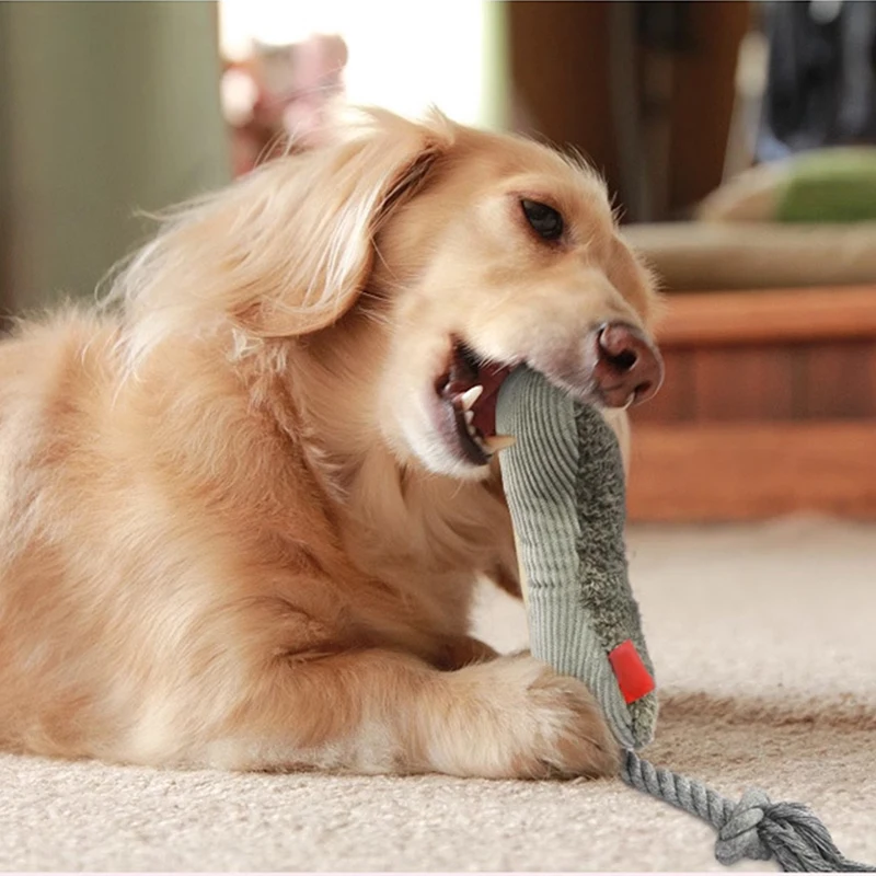 Bone Plush Toy for Dog Pets Dogs Chew Toys Animal Squeeze Squeaky Sound Bite Resistant Training Interactive Toy For Dogs Pet
Bone Plush Toy for Dog Pets Dogs Chew Toys Animal Squeeze Squeaky Sound Bite Resistant Training Interactive Toy For Dogs Pet