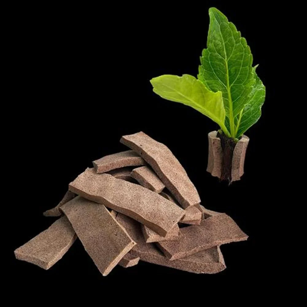 Succulents Rose Cultivation Block Garden Soilless Nature Plants Conical Nutrient Soil Cactus Flower Seedling Fixed Clamp Bracket
Succulents Rose Cultivation Block Garden Soilless Nature Plants Conical Nutrient Soil Cactus Flower Seedling Fixed Clamp Bracket