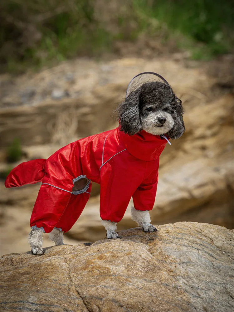 Pet dog raincoat puppy raincoat four-legged all-inclusive medium and small dog Shiba Inu Bichon Schnauzer Teddy rain gear
Pet dog raincoat puppy raincoat four-legged all-inclusive medium and small dog Shiba Inu Bichon Schnauzer Teddy rain gear