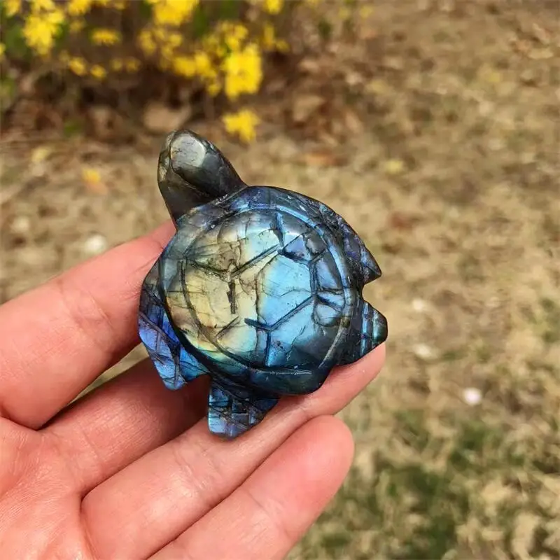 Natural Labradorite Turtle Carving Polished Animal Powerful Statue for Home Decoration Holiday Gift 1pcs 
Natural Labradorite Turtle Carving Polished Animal Powerful Statue for Home Decoration Holiday Gift 1pcs