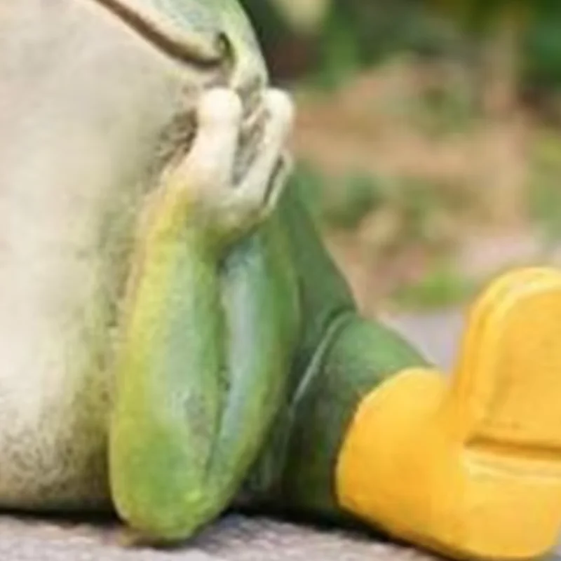 Resin Frog Ornament Resin Frog Statue Garden Ornament Stretching Frog Figurine for Indoor Outdoor Decoration Plant Pot for Pool
Resin Frog Ornament Resin Frog Statue Garden Ornament Stretching Frog Figurine for Indoor Outdoor Decoration Plant Pot for Pool