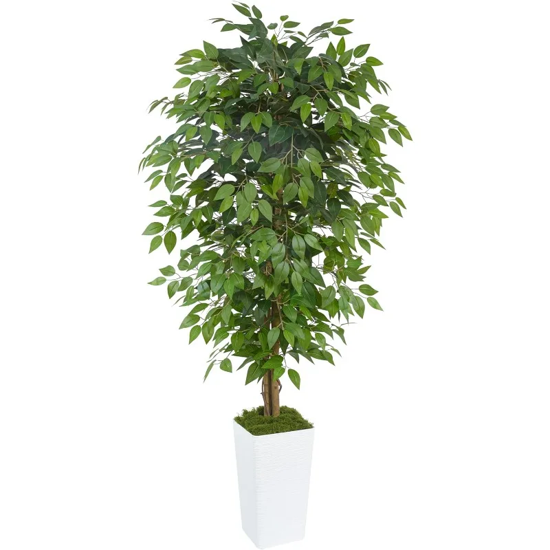 Artificial Ficus Tree 6FT Faux Floor Tree with Planter UV Resistant Potted Fake Silk Plant, Real Wood Trunk-Indoor Outdoor Lifel
Artificial Ficus Tree 6FT Faux Floor Tree with Planter UV Resistant Potted Fake Silk Plant, Real Wood Trunk-Indoor Outdoor Lifel