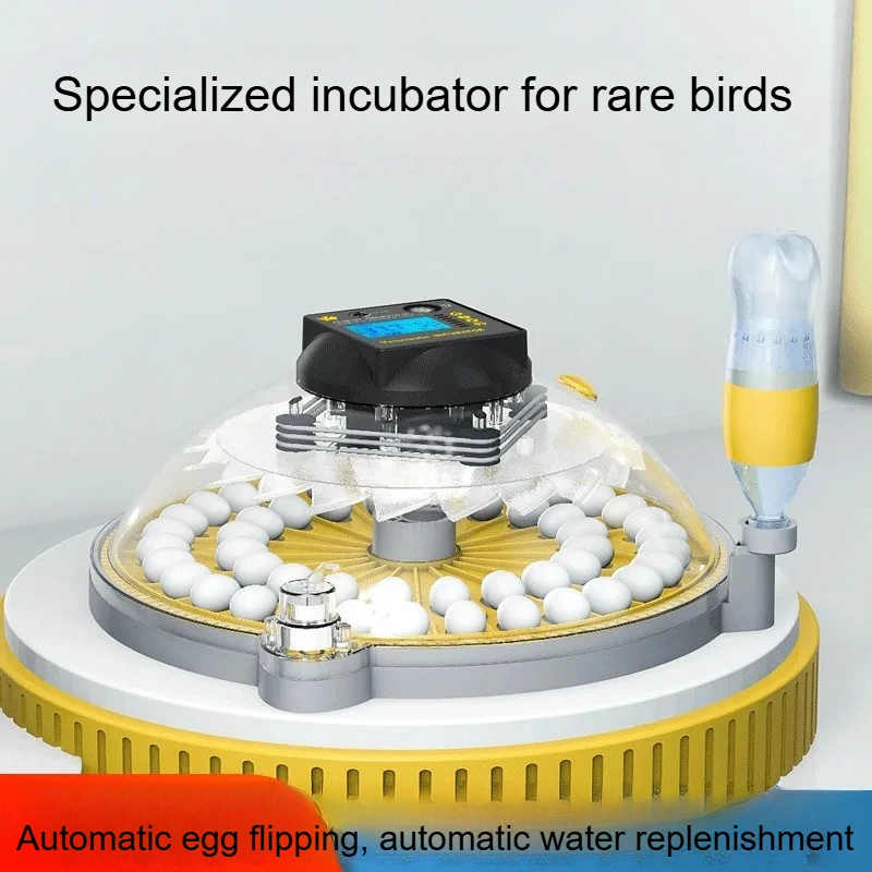 Автоматический инкубатор для яиц, небольшая интеллектуальная машина для разведения для инкубации птицы
Автоматический инкубатор для яиц, небольшая интеллектуальная машина для разведения для инкубации птицы