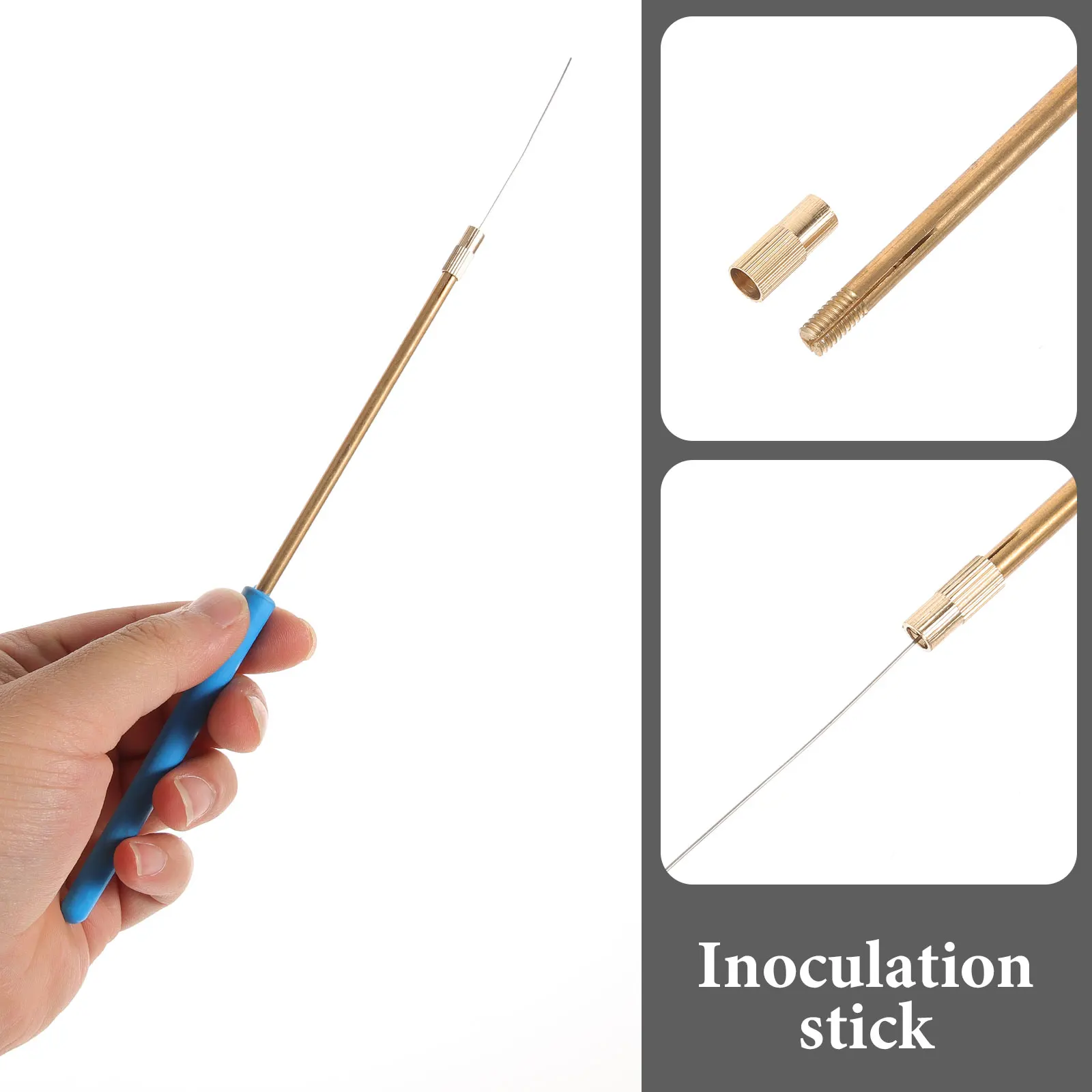 inoculating needle laboratory metal inoculation stick laboratory metal inoculation rod reusable metal inoculation stick
inoculating needle laboratory metal inoculation stick laboratory metal inoculation rod reusable metal inoculation stick