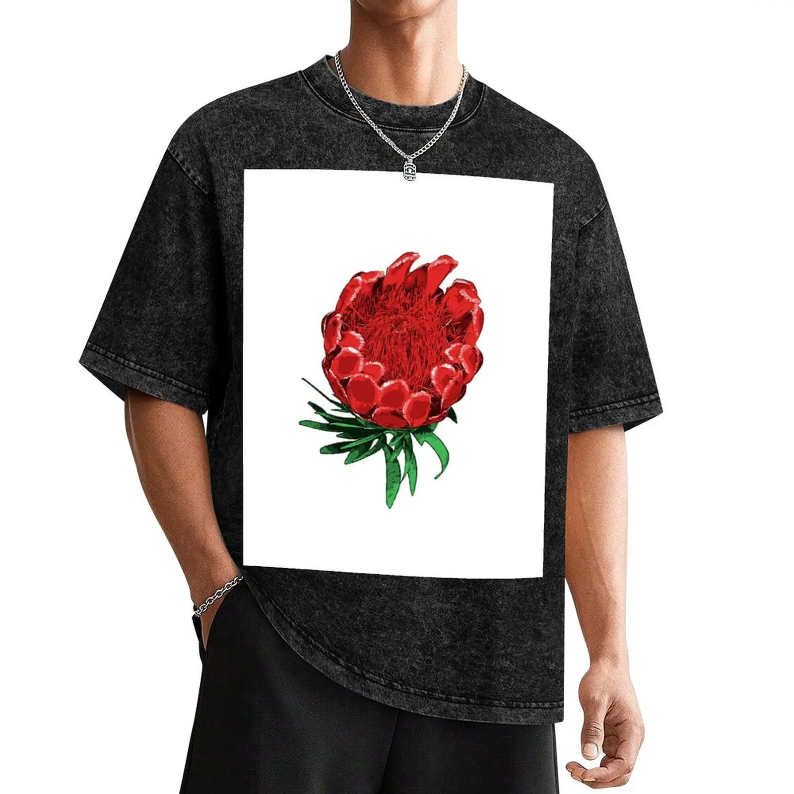 Beautiful Protea Illustration - Lovely Australian Native Flower T-Shirt graphic t shirts Anime t-shirt shirts men graphic
Beautiful Protea Illustration - Lovely Australian Native Flower T-Shirt graphic t shirts Anime t-shirt shirts men graphic
