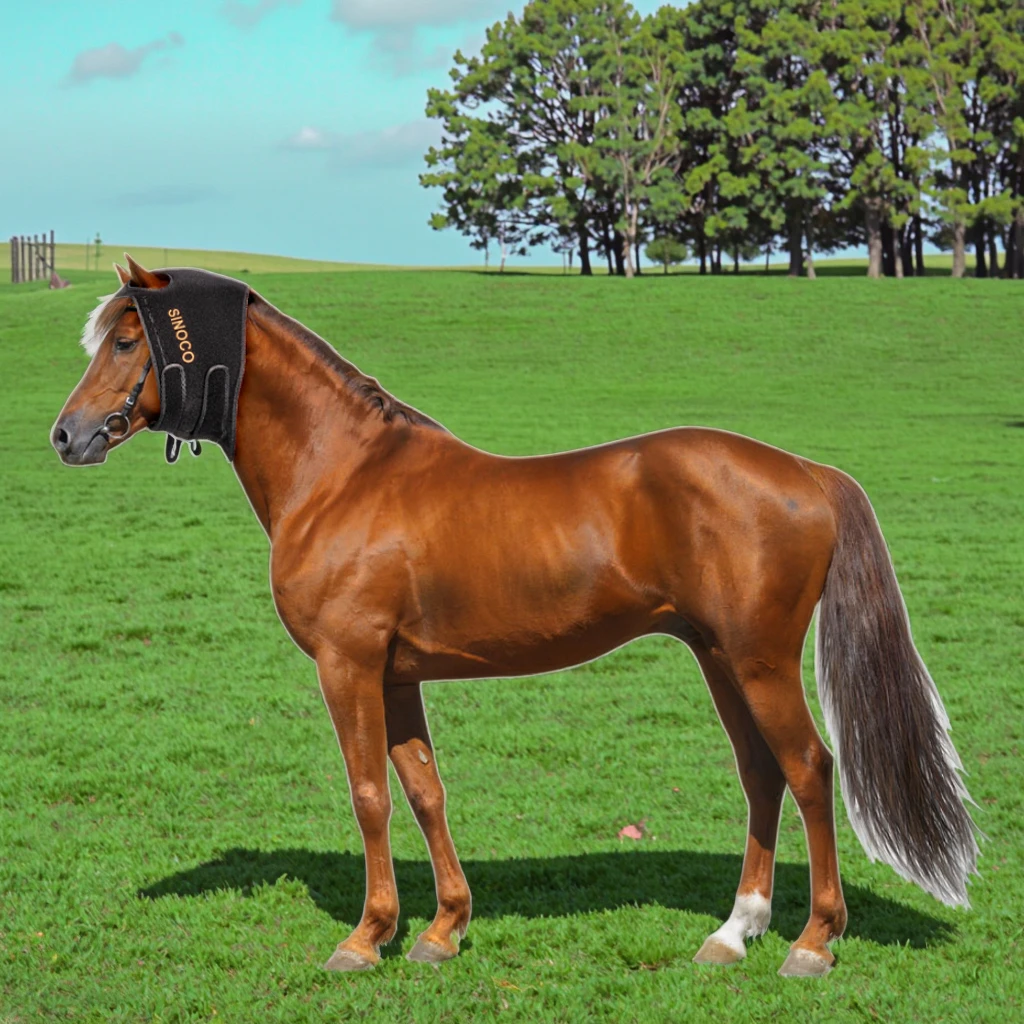 Portable 10W Adjustable Light With 660nm/850nm LEDs For Horse Bonnet Therapy Safe & Reliable Animal Healthcare Device
Portable 10W Adjustable Light With 660nm/850nm LEDs For Horse Bonnet Therapy Safe & Reliable Animal Healthcare Device