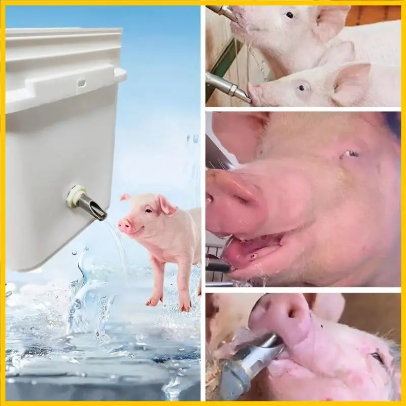 H55A Stainless Steel Piglets Waterer Threaded Interfaces Livestock Drinking Waterer for Easy Installation and Maintenances
H55A Stainless Steel Piglets Waterer Threaded Interfaces Livestock Drinking Waterer for Easy Installation and Maintenances