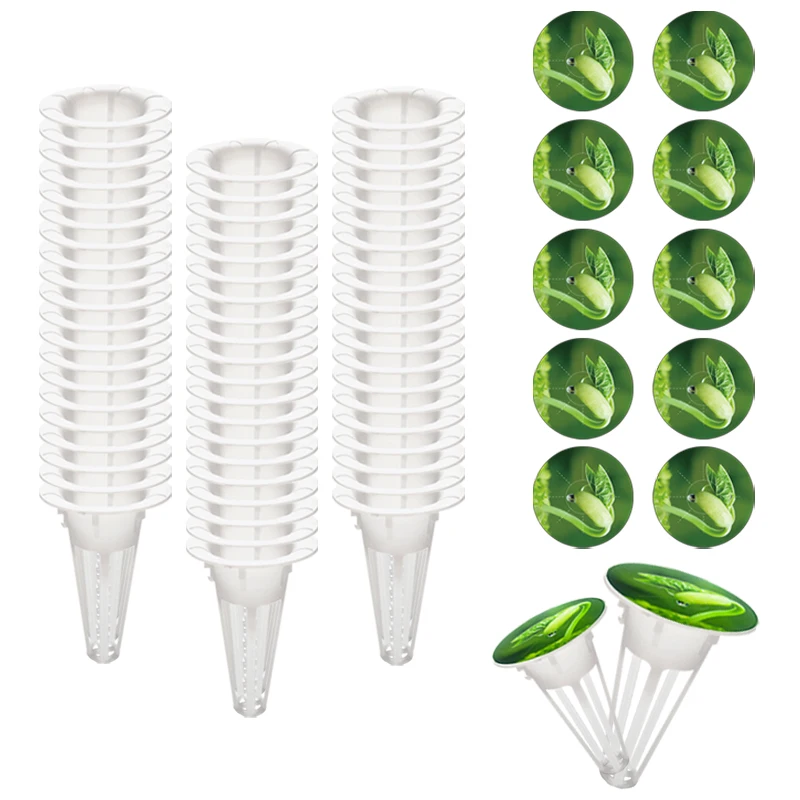 100 hydroponic planting kits,50 alternative basket style plant planting containers for hydroponic plants and 50 seed jar labels
100 hydroponic planting kits,50 alternative basket style plant planting containers for hydroponic plants and 50 seed jar labels