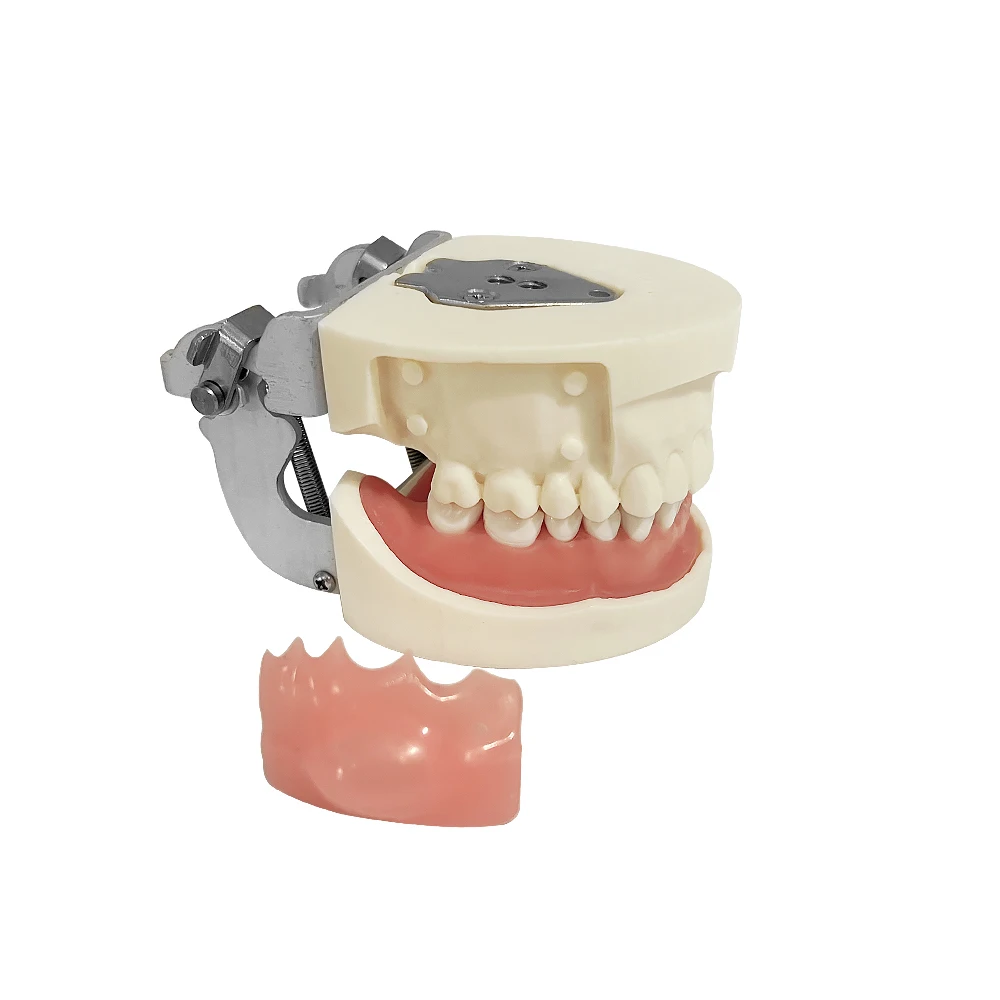 Dental Training Model Abscess Incision Practice Teeth Model Pus Removal Model For Teaching Education Doctor-Patient Communicatio
Dental Training Model Abscess Incision Practice Teeth Model Pus Removal Model For Teaching Education Doctor-Patient Communicatio