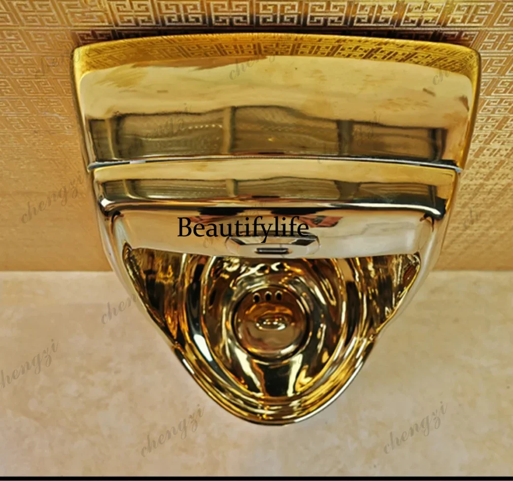 Y136 Y136 Golden urinal European site local tyrant gold urinal ceramic gold urinal deodorant floor type designer
Y136 Y136 Golden urinal European site local tyrant gold urinal ceramic gold urinal deodorant floor type designer