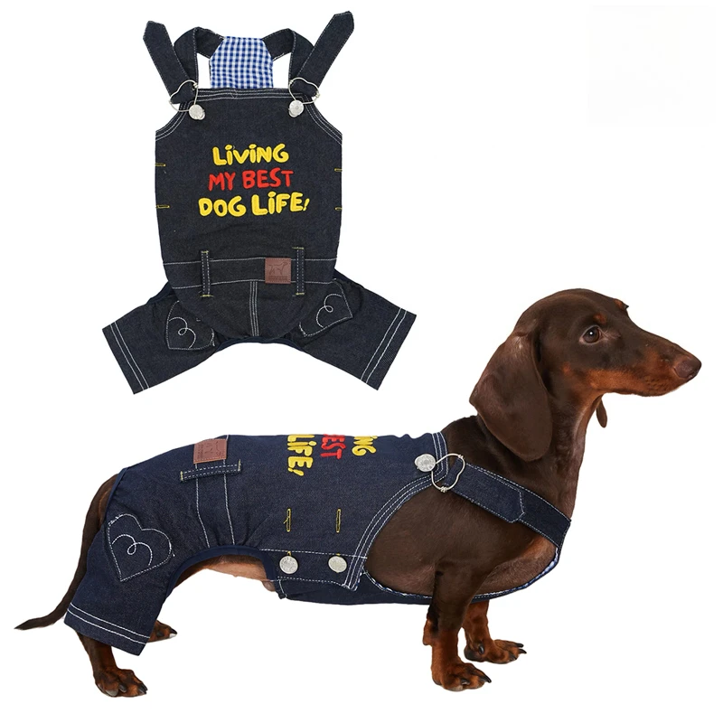 Japanese Style Blue Fashion Denim Bib Pants Dachshund Overalls Schnauzer Embroidered Retro Short Leg Clothes Letter Jumpsuit
Japanese Style Blue Fashion Denim Bib Pants Dachshund Overalls Schnauzer Embroidered Retro Short Leg Clothes Letter Jumpsuit