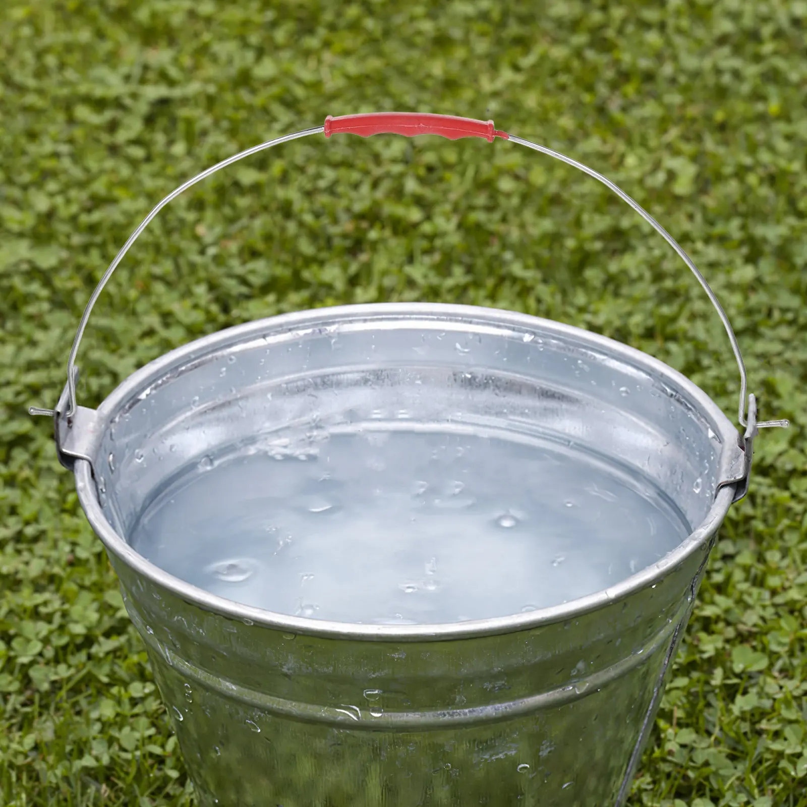 10pcs Gray Bucket Handle Heavy Duty Iron Pail Grip Rubber For Paint Water Pet Food Storage Container Gallon Plastic
10pcs Gray Bucket Handle Heavy Duty Iron Pail Grip Rubber For Paint Water Pet Food Storage Container Gallon Plastic