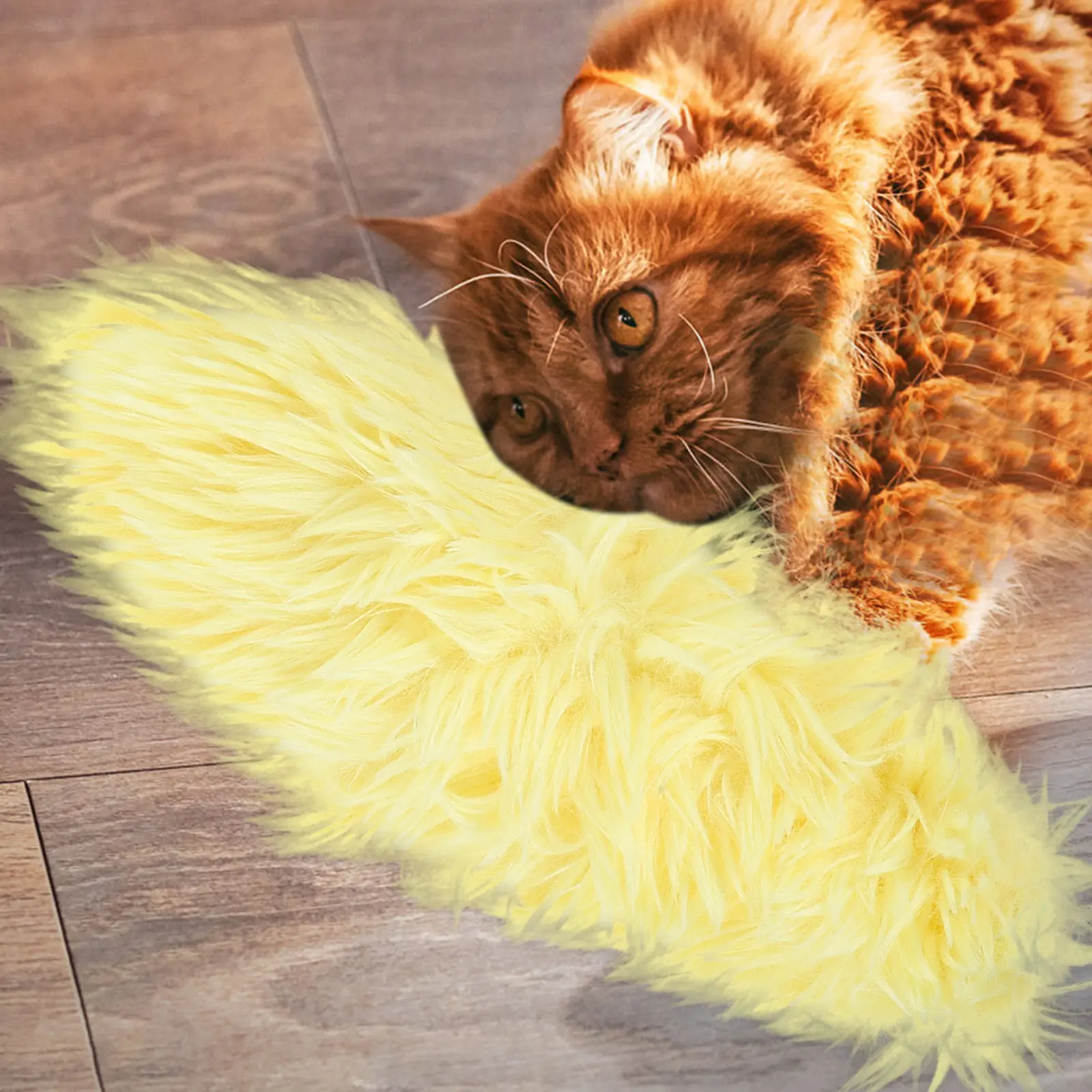 3Pcs Catnip Pillow Cat Chewers Indoor Interactive Kitten Chewing Dental Teething Pillow Entertainment Catnip Toy
3Pcs Catnip Pillow Cat Chewers Indoor Interactive Kitten Chewing Dental Teething Pillow Entertainment Catnip Toy