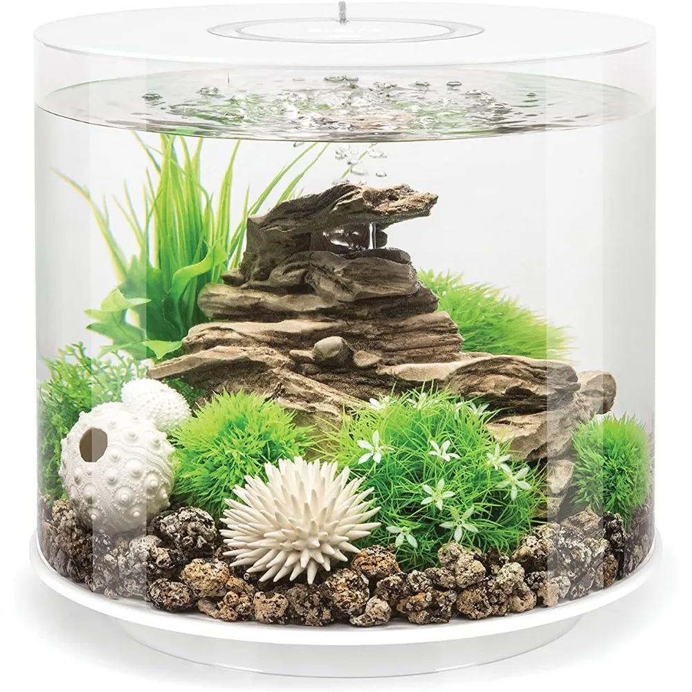 15 Aquarium with MCR Light 4 Gallon White multi-color lighting color-coordinated lighting cords Chic and minimalist design
15 Aquarium with MCR Light 4 Gallon White multi-color lighting color-coordinated lighting cords Chic and minimalist design
