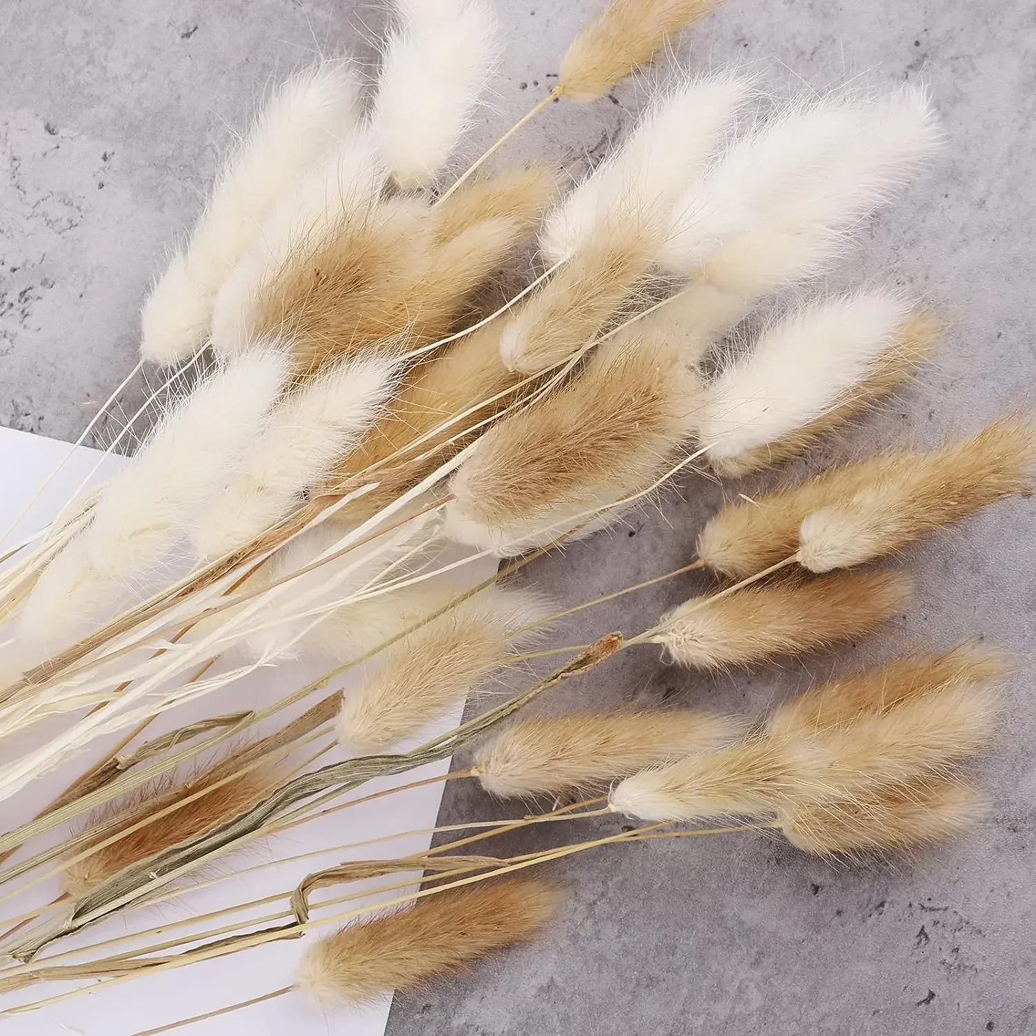 Natural Rabbit Tail Grass Dried Flowers Bouquet Bunny Tails Photo Prop Home Party Wedding Garden Decoration Home Christmas Decor
Natural Rabbit Tail Grass Dried Flowers Bouquet Bunny Tails Photo Prop Home Party Wedding Garden Decoration Home Christmas Decor