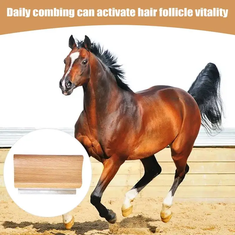 Shedding Brush Dog Hair Dog Hair Comb Wood Cleaning Comb Professional Grooming Supplies For Puppy Cat Horse Home Salon
Shedding Brush Dog Hair Dog Hair Comb Wood Cleaning Comb Professional Grooming Supplies For Puppy Cat Horse Home Salon