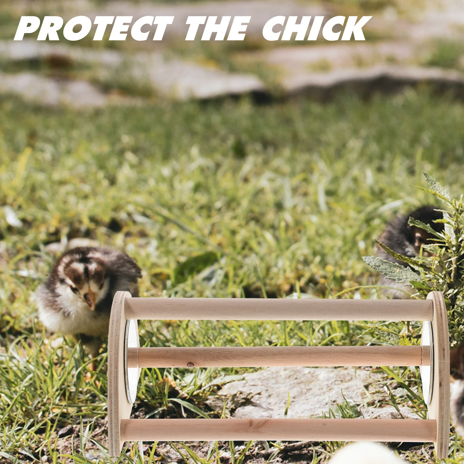 Chick Roosting Perch Smooth Polished Wood Surface Safe Comfortable Resting Place Reduces Boredom Stress Chick Perch
Chick Roosting Perch Smooth Polished Wood Surface Safe Comfortable Resting Place Reduces Boredom Stress Chick Perch