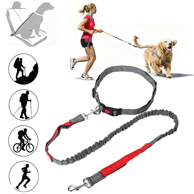Retractable Dog Leash Adjustable Multi Purpose Waist Rope Free Running Jogging Cycling Large Dog Pet Elasticity Pet Supplies
Retractable Dog Leash Adjustable Multi Purpose Waist Rope Free Running Jogging Cycling Large Dog Pet Elasticity Pet Supplies