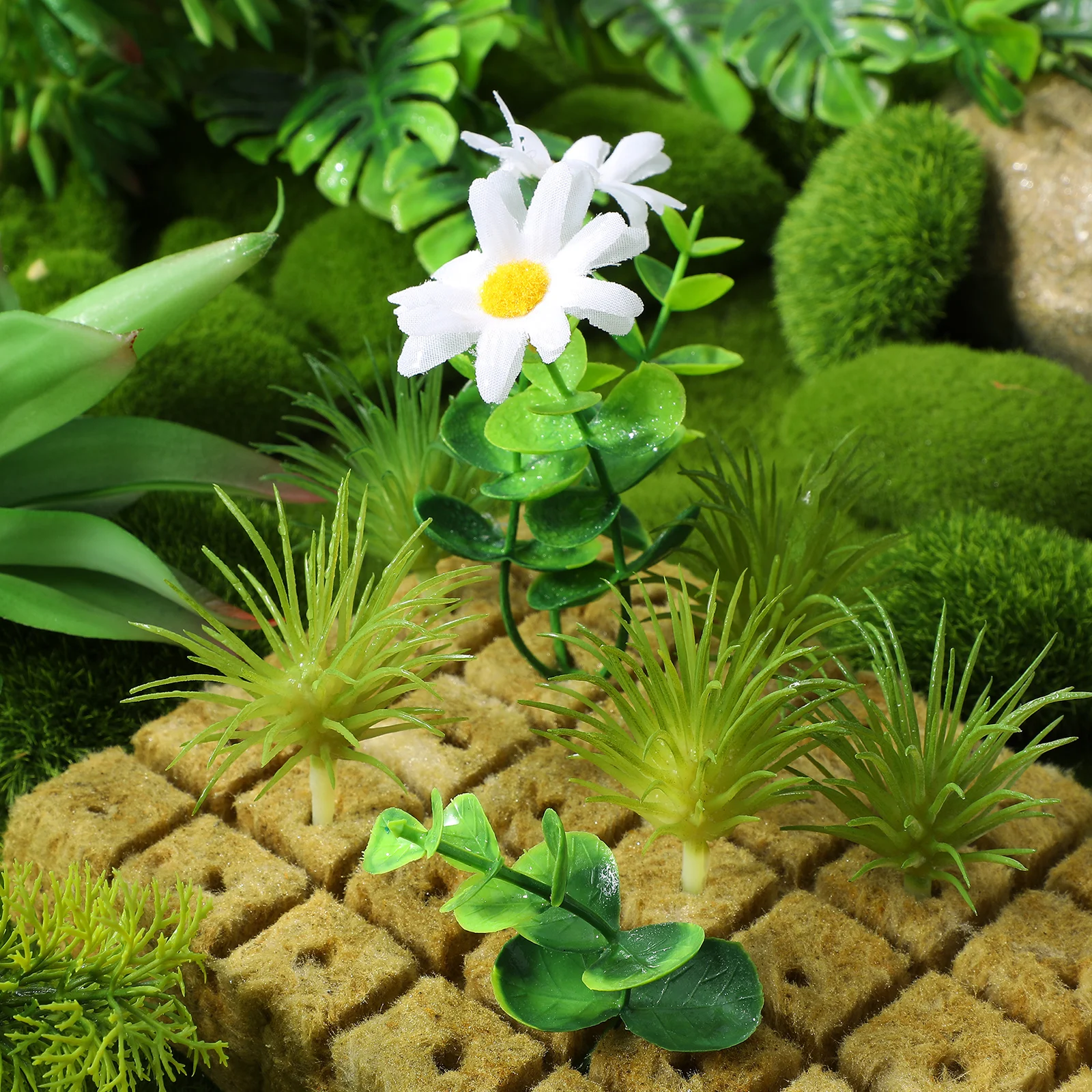 100Pcs Grow Cubes Plugs Nursery Soil Blocks Soilless Cultivation Starter Blocks Gardening Supplies for Easy Seedling Growth and
100Pcs Grow Cubes Plugs Nursery Soil Blocks Soilless Cultivation Starter Blocks Gardening Supplies for Easy Seedling Growth and