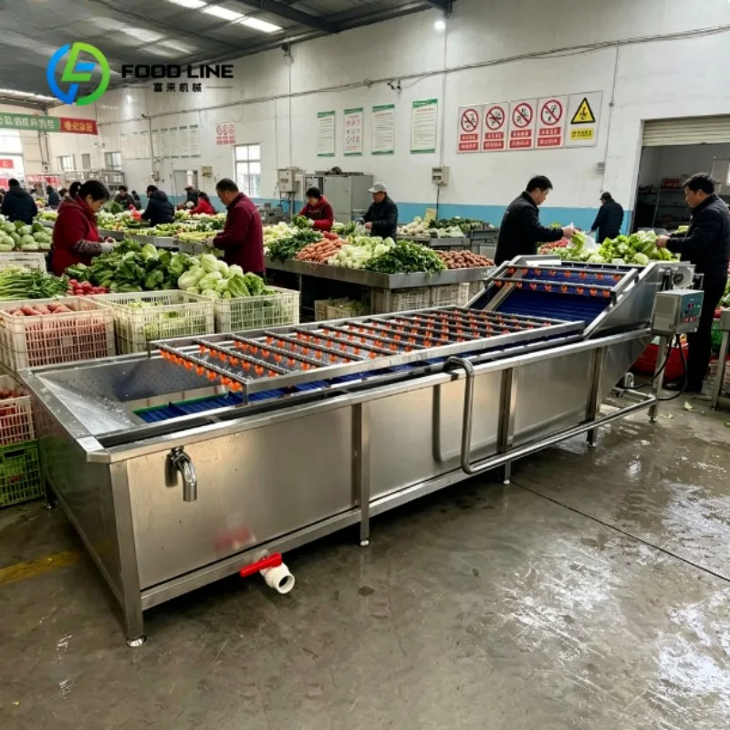 Automatic Bubble Vegetable Washing Machine High Efficiency Cleaning Equipment for Fruits and Leafy Greens
Automatic Bubble Vegetable Washing Machine High Efficiency Cleaning Equipment for Fruits and Leafy Greens