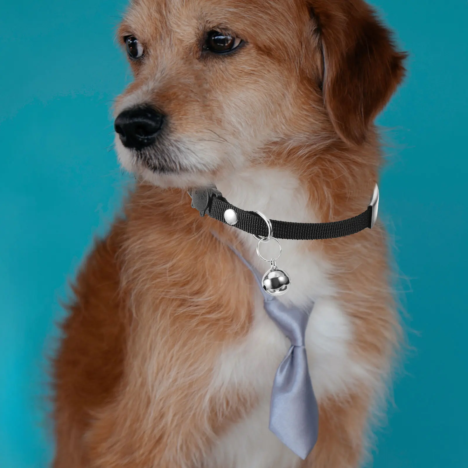 Adjustable Cat Collars Anti Lost Outdoor Dog Collar Blank Name Tag Engraving Polyester Material Bell Included Suitable Small
Adjustable Cat Collars Anti Lost Outdoor Dog Collar Blank Name Tag Engraving Polyester Material Bell Included Suitable Small