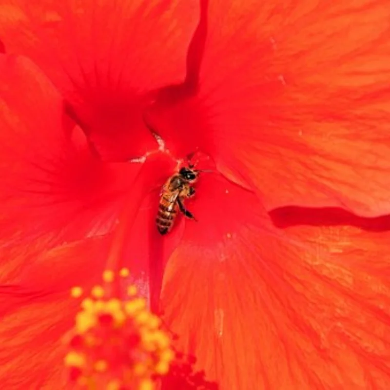 Гоночный радиоуправляемый грузовик, автомобильные рулевые рычаги, набор рулевого моста для 1/10 Tamiya DT-04 Fighter NXGEN, обновленные детали, аксессуары
Гоночный радиоуправляемый грузовик, автомобильные рулевые рычаги, набор рулевого моста для 1/10 Tamiya DT-04 Fighter NXGEN, обновленные детали, аксессуары