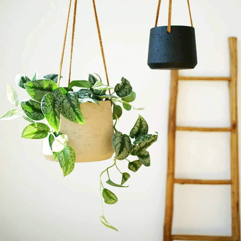 *Wall mounted flower pot, small hanging plant, hanging basket, hanging pot, king fern ball orchid,
*Wall mounted flower pot, small hanging plant, hanging basket, hanging pot, king fern ball orchid,
