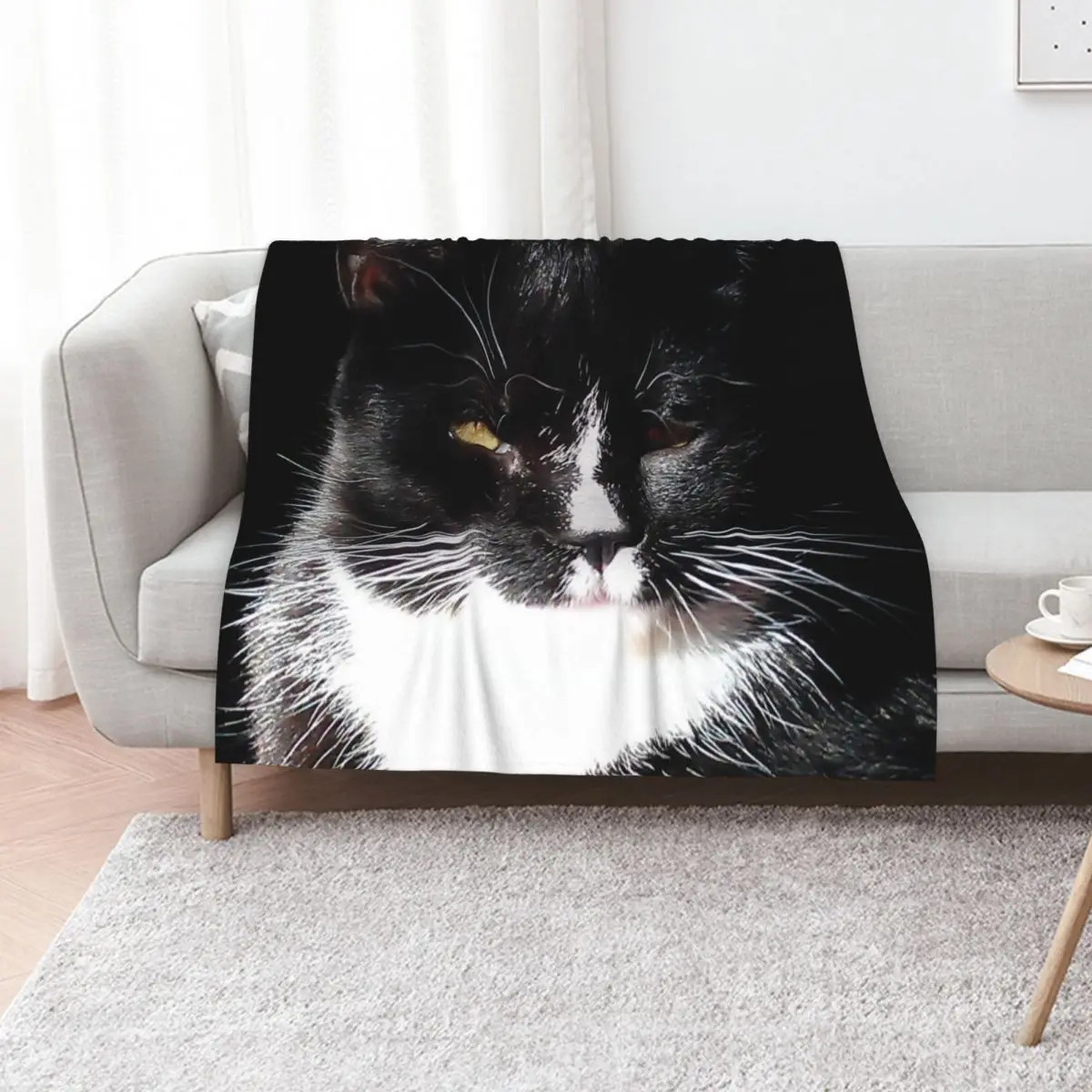 Tuxedo Cat Throw Blanket Fade Resistant Durable Throw Blanket
Tuxedo Cat Throw Blanket Fade Resistant Durable Throw Blanket