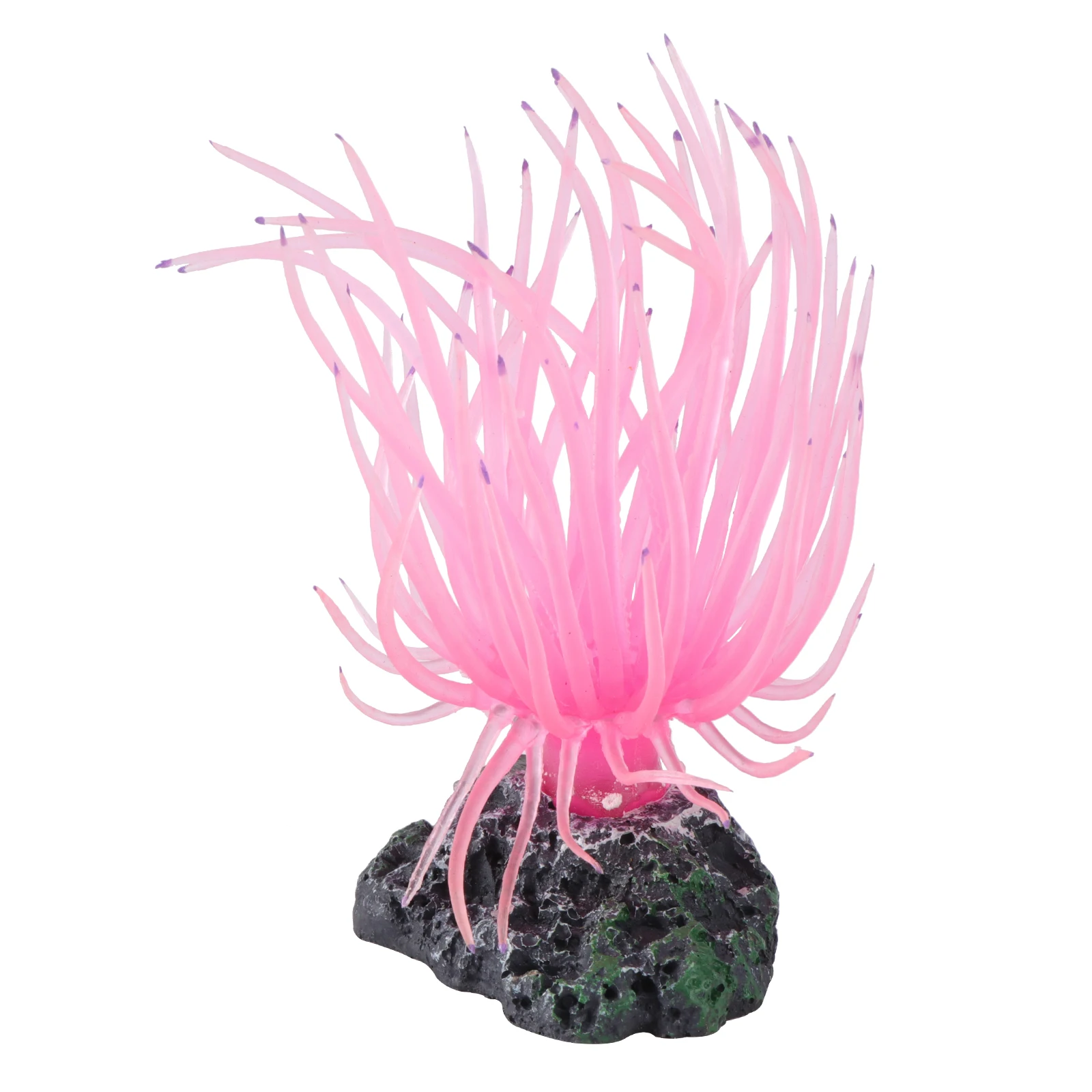 Decoration for Fish Tank Aquarium Artificial Sea Anemone Soft Flexible Betta Water Landscape Accessories Decor
Decoration for Fish Tank Aquarium Artificial Sea Anemone Soft Flexible Betta Water Landscape Accessories Decor