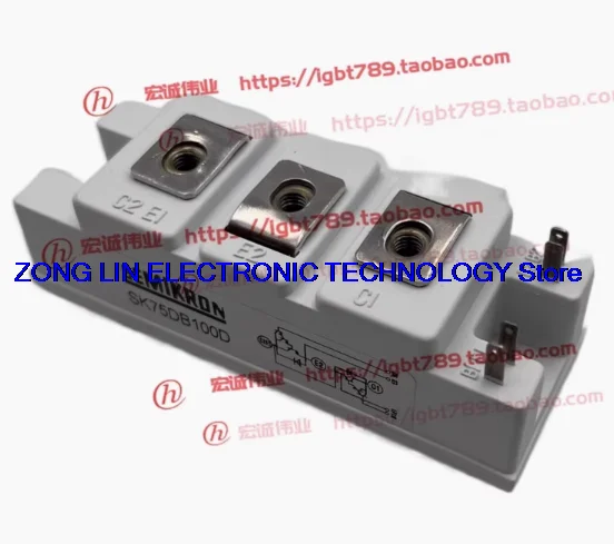 SK75DB100D power module in stock supply
SK75DB100D power module in stock supply